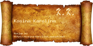 Kosina Karolina névjegykártya